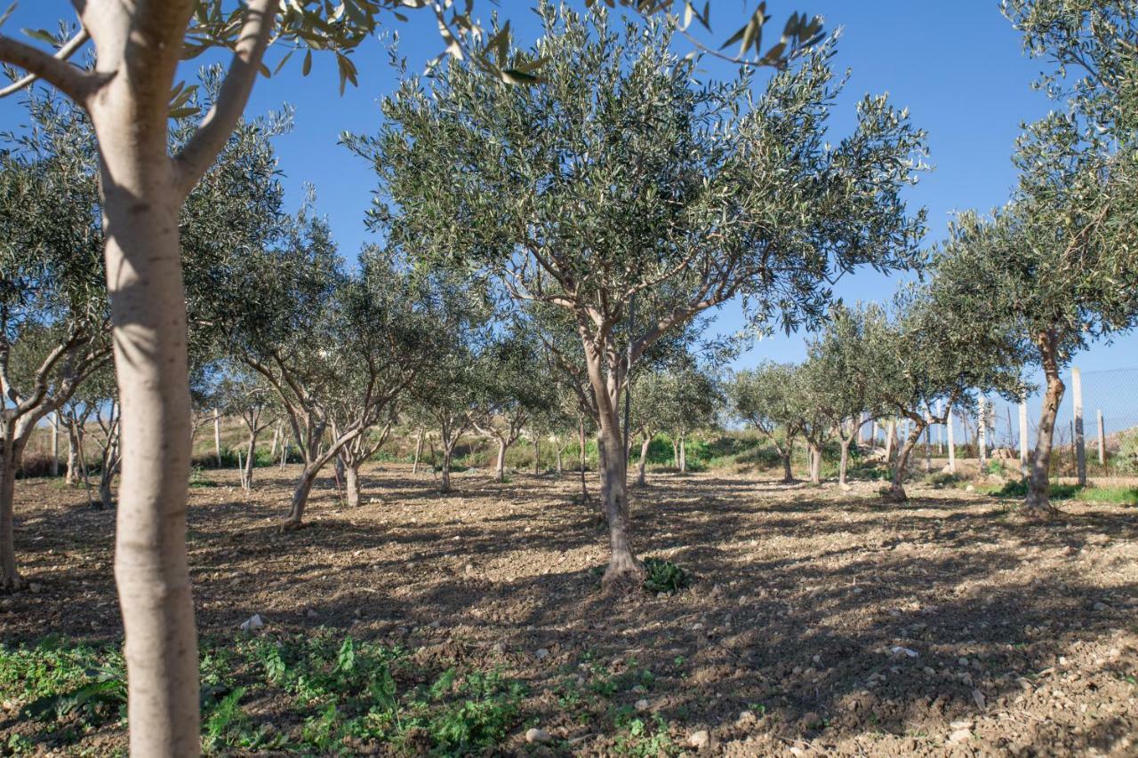 ליקאטה B&B La Veranda מראה חיצוני תמונה