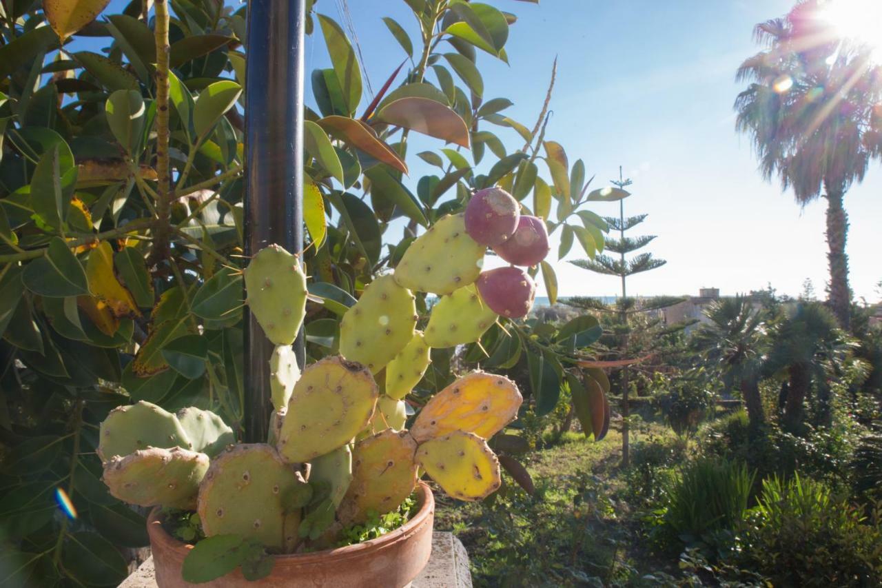 ליקאטה B&B La Veranda מראה חיצוני תמונה